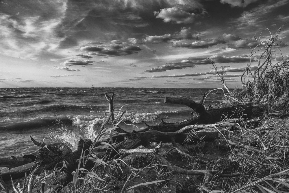 Фотографія А хвилі з берегом і вітром гомонять / Volodymyr Shapoval VISt / photographers.ua