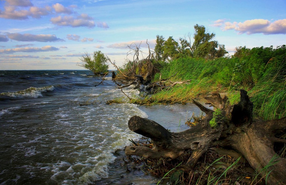 Фотографія Волна кокетливо на берег набежала.... / Volodymyr Shapoval VISt / photographers.ua