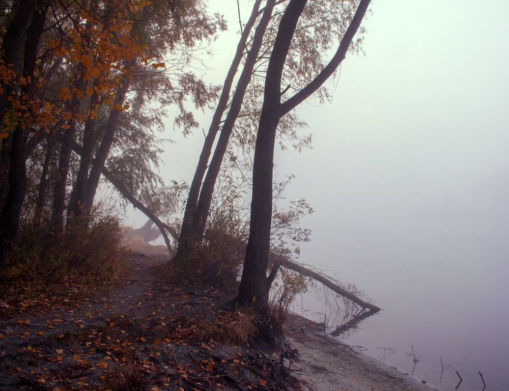 Фотография Де лиш, здається, мряка і тумани... / Volodymyr Shapoval VISt / photographers.ua