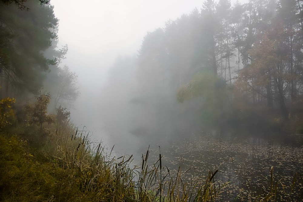 Фотографія Стелиться туман, ховає береги. / Volodymyr Shapoval VISt / photographers.ua