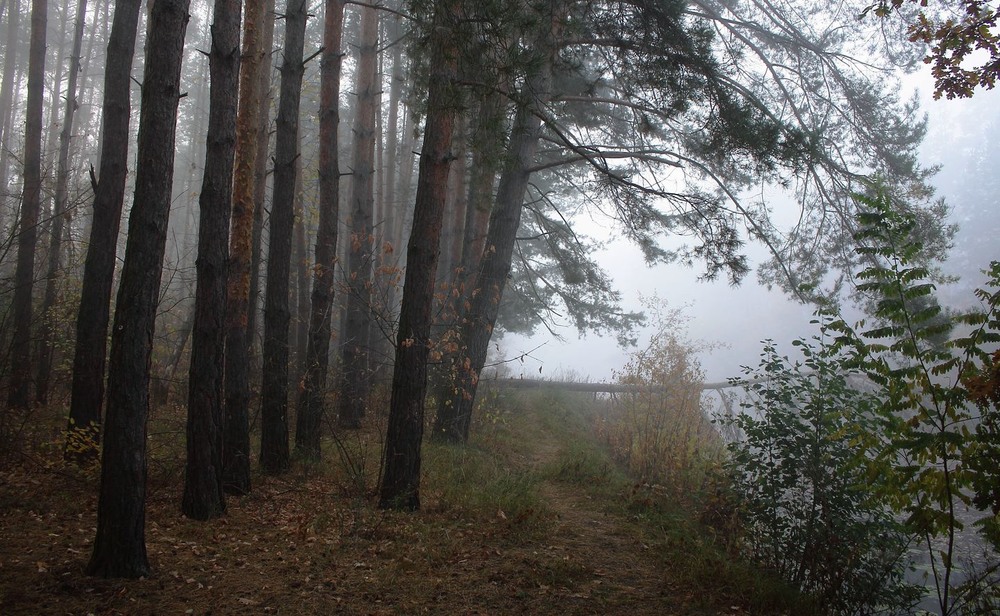 Фотографія Спека спаде і будуть ранкові тумани. / Volodymyr Shapoval VISt / photographers.ua