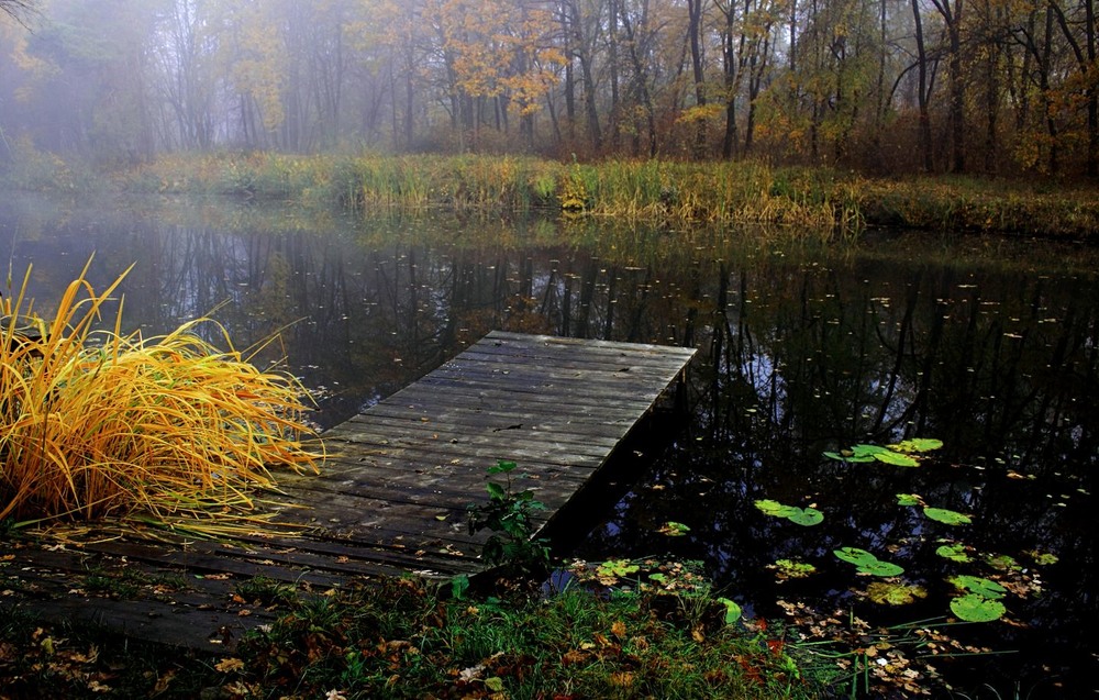 Фотографія Палає осінь / Volodymyr Shapoval VISt / photographers.ua