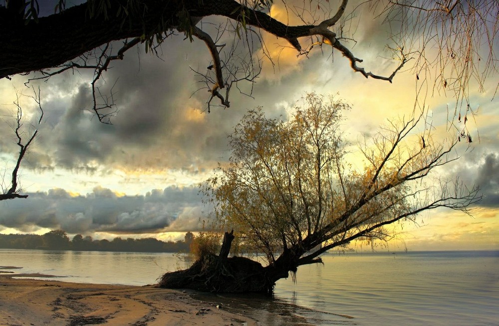 Фотографія Поза хмарами світить-палає. Мов пожежа на небі горить,. / Volodymyr Shapoval VISt / photographers.ua
