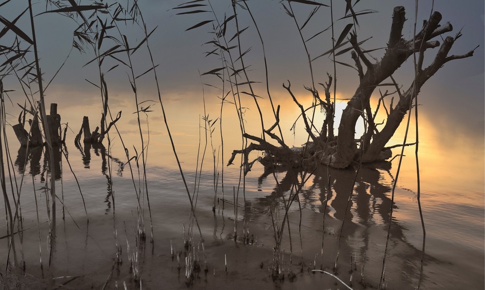 Фотографія Наповнений світанок і музики, й гіркої кави. / Volodymyr Shapoval VISt / photographers.ua