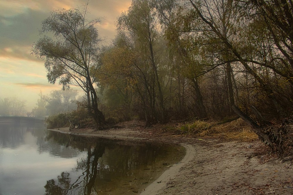 Фотографія Запах осені. / Volodymyr Shapoval VISt / photographers.ua