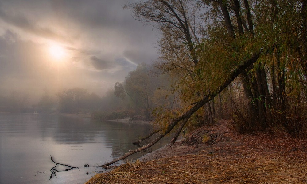 Фотографія ......... / Volodymyr Shapoval VISt / photographers.ua