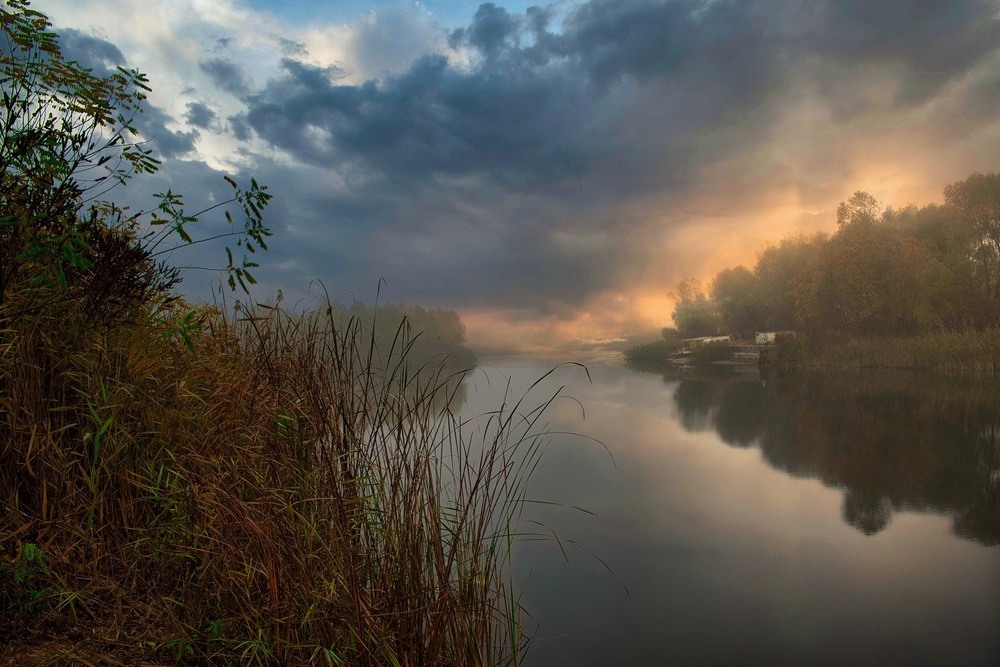 Фотографія І тільки чути,як шепоче тиша .... / Volodymyr Shapoval VISt / photographers.ua