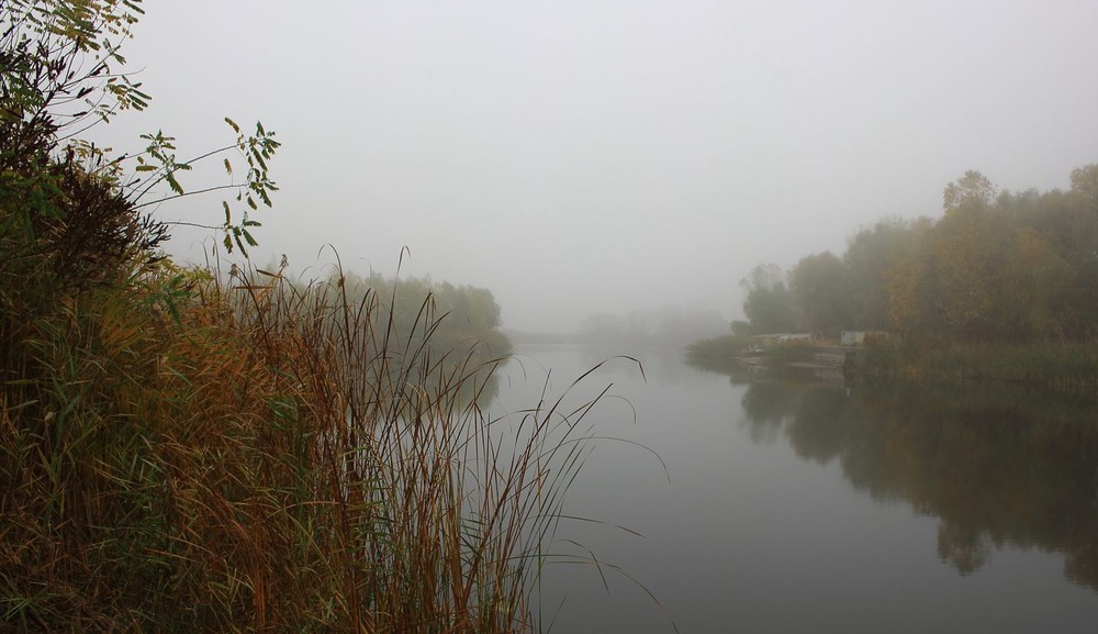 Фотографія Дрімає річка. Всюди тиша.... / Volodymyr Shapoval VISt / photographers.ua