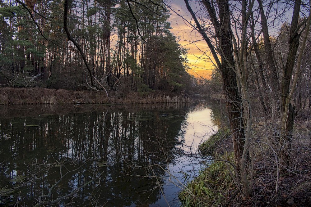 Фотографія Там, де вже пройшла вона, — / Volodymyr Shapoval VISt / photographers.ua