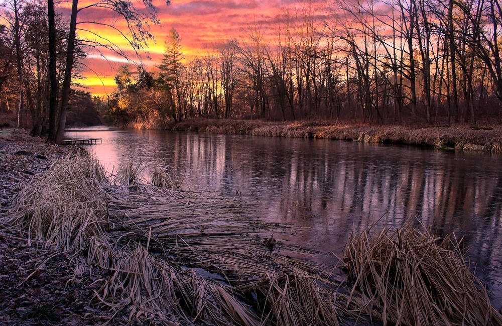 Фотографія Приморожує. / Volodymyr Shapoval VISt / photographers.ua