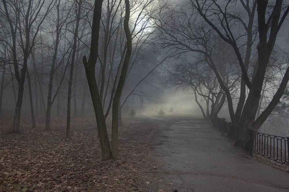 Фотографія ... У пошуку світла. / Volodymyr Shapoval VISt / photographers.ua