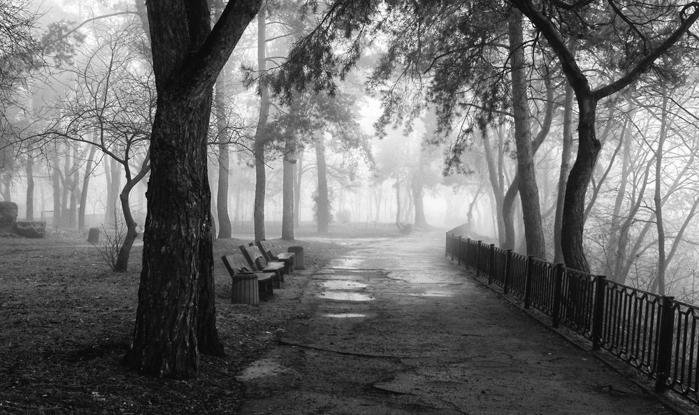 Фотографія Осінній парк у полоні туману. / Volodymyr Shapoval VISt / photographers.ua