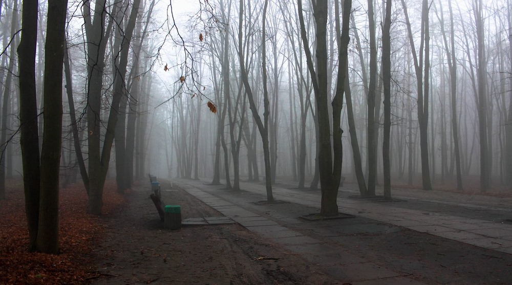 Фотографія ... Та вернулися тумани.... / Volodymyr Shapoval VISt / photographers.ua