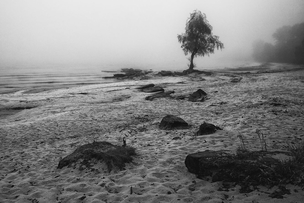 Фотографія І туманом пливуть міражі, / Volodymyr Shapoval VISt / photographers.ua