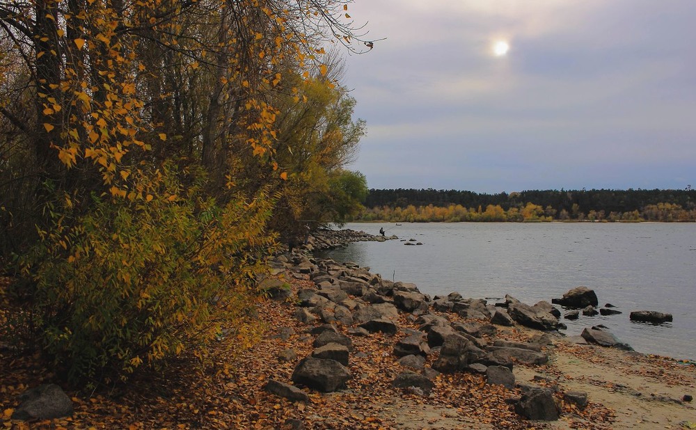 Фотографія Роздуває осінь сонце.... / Volodymyr Shapoval VISt / photographers.ua