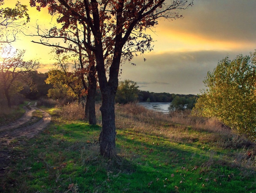 Фотографія Дивні, довгі тіні осені. Перезріло падають під ноги. / Volodymyr Shapoval VISt / photographers.ua