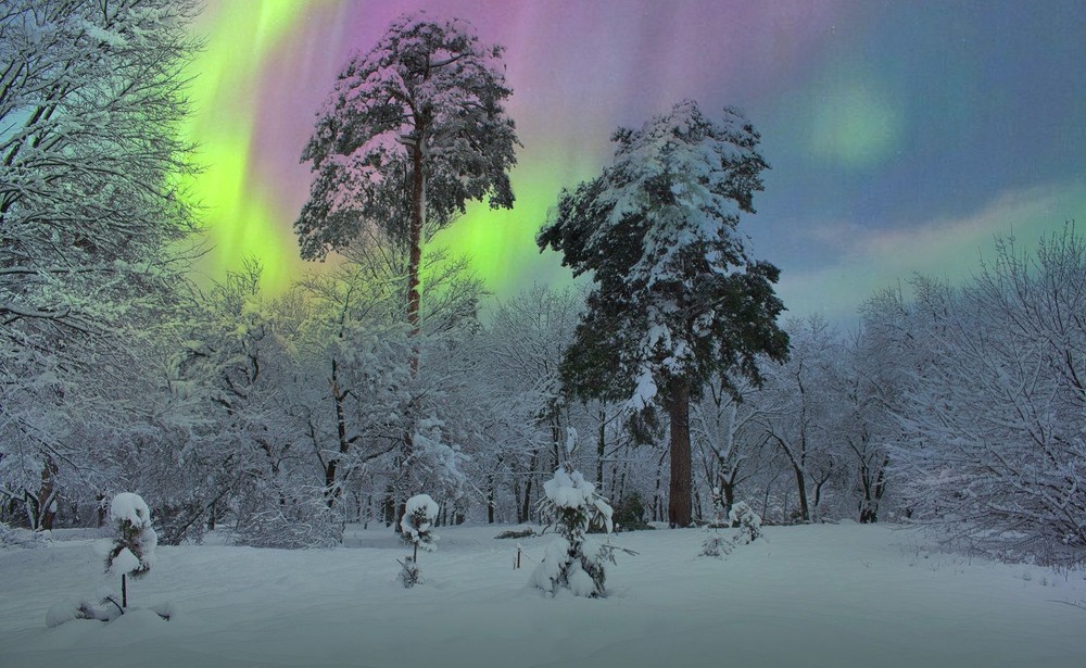 Фотографія Вечоріло, то обидва лаялись. "От проклятий мороз ... / Volodymyr Shapoval VISt / photographers.ua