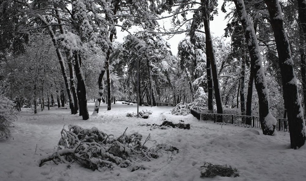 Фотографія Ой, снігу, снігу білого. / Volodymyr Shapoval VISt / photographers.ua