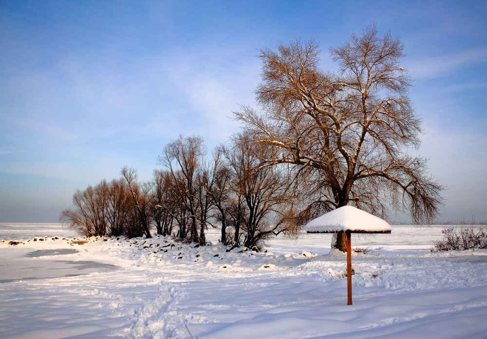 Фотографія Зимове літо. / Volodymyr Shapoval VISt / photographers.ua