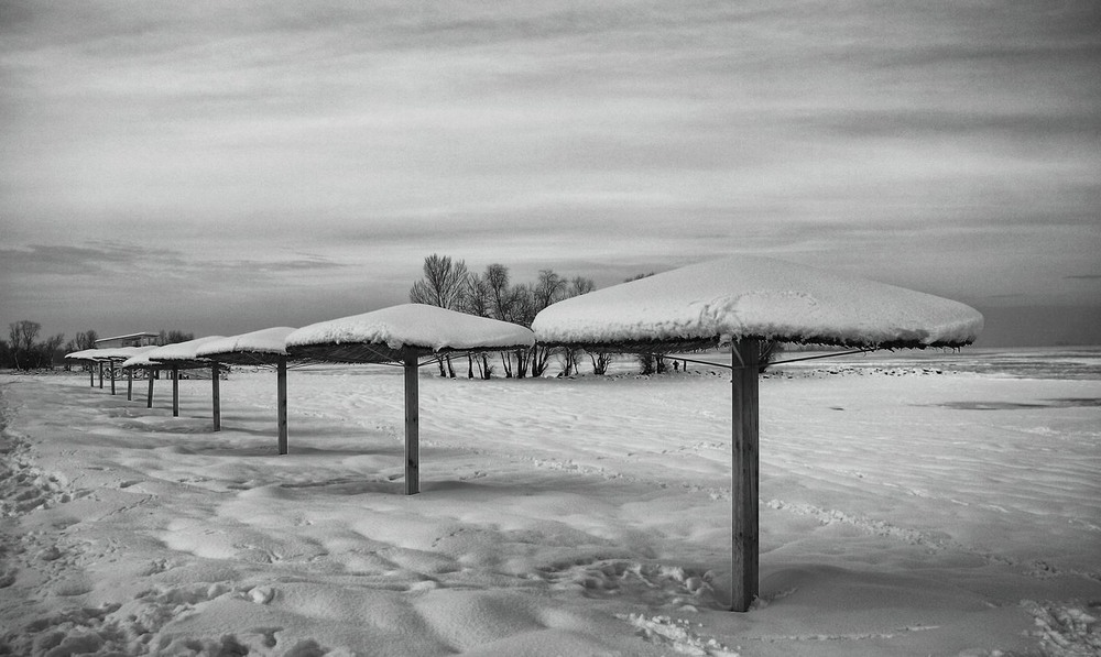 Фотографія Зонти замовкли і переглянулись. / Volodymyr Shapoval VISt / photographers.ua