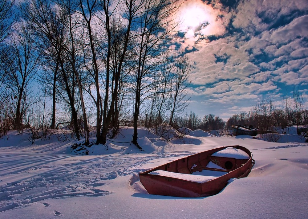 Фотографія А він все чекає, що скоро прилине весна. / Volodymyr Shapoval VISt / photographers.ua