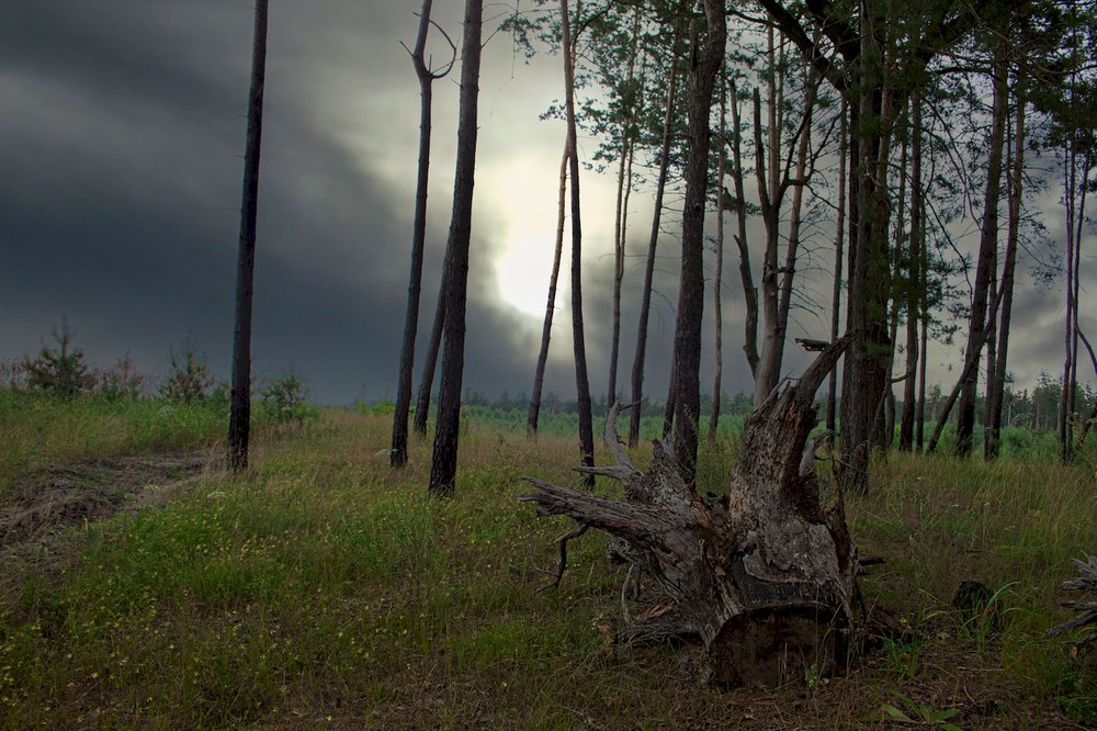 Фотографія Відходить літо , гарячих сонць і білоклубних хмар / Volodymyr Shapoval VISt / photographers.ua