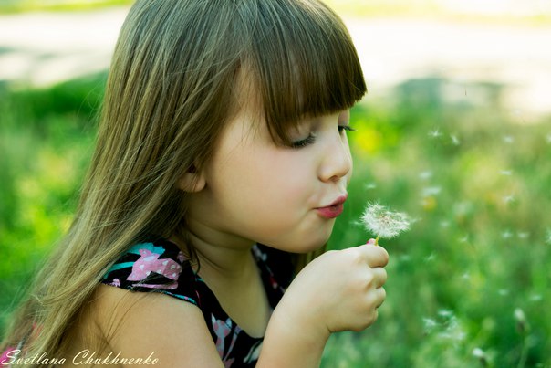 Фотографія Детский мир / светлана чухненко / photographers.ua