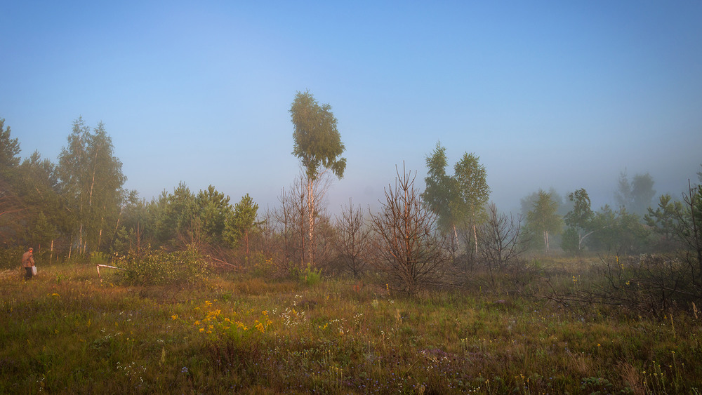 Фотографія У лісі / Halyna Nechyporuk / photographers.ua