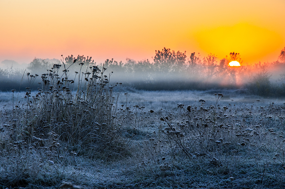 Фотографія Морозний світанок / Halyna Nechyporuk / photographers.ua
