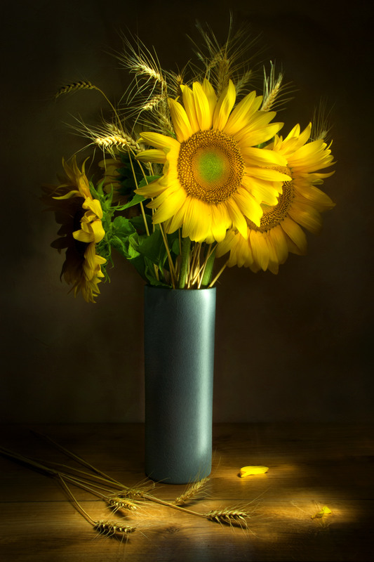 Фотографія sunflowers / Мария / photographers.ua