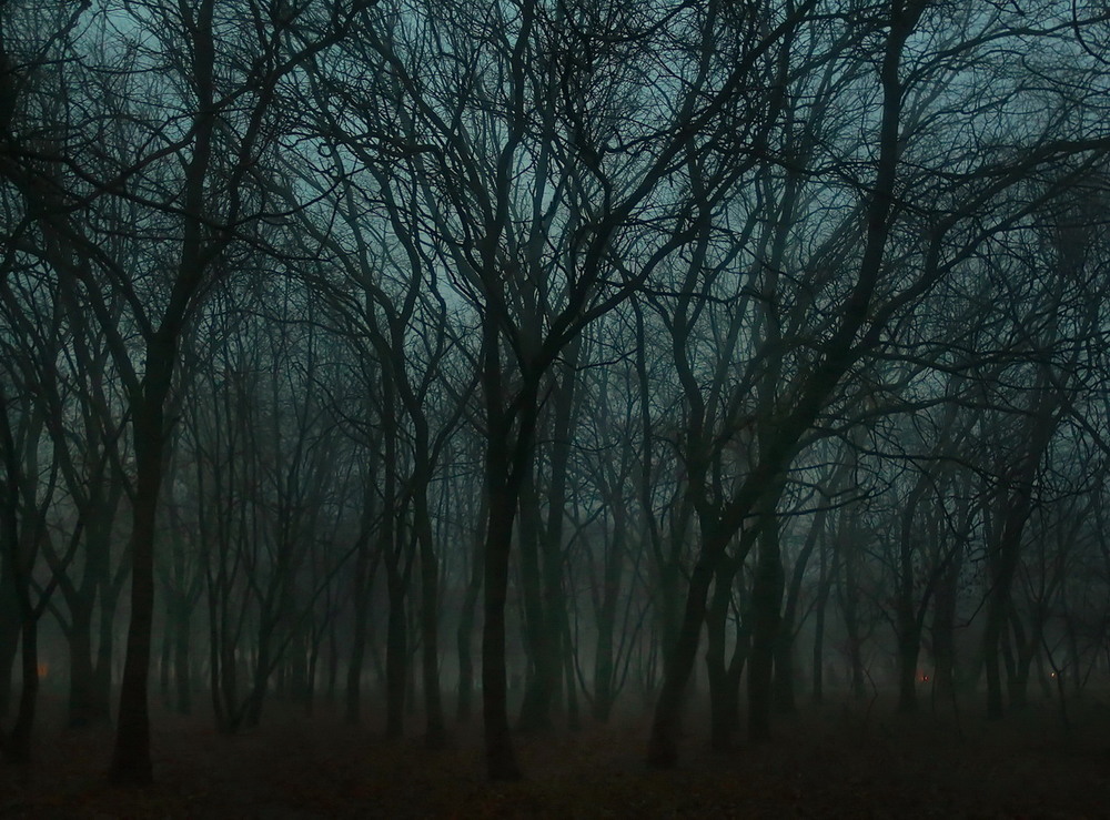 Фотографія Сутінки... туман... зима. / Жанна / photographers.ua