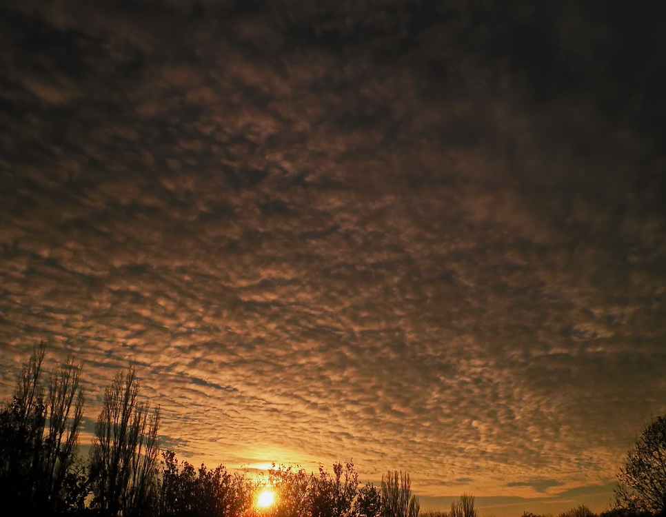 Фотографія Небо из моего окна / Жанна / photographers.ua