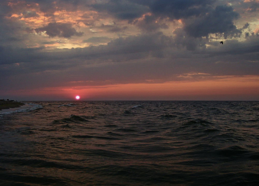 Фотографія Рассвет над Черным морем / Жанна / photographers.ua