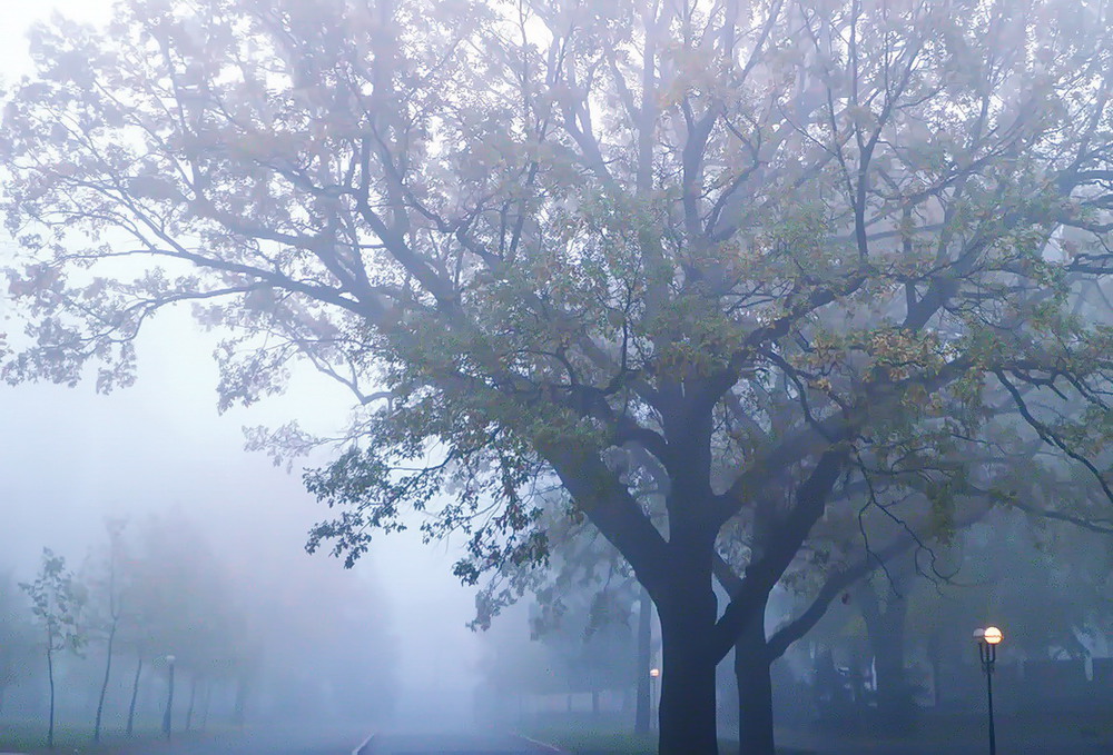 Фотографія Предрассветный туман..Одесса / Жанна / photographers.ua