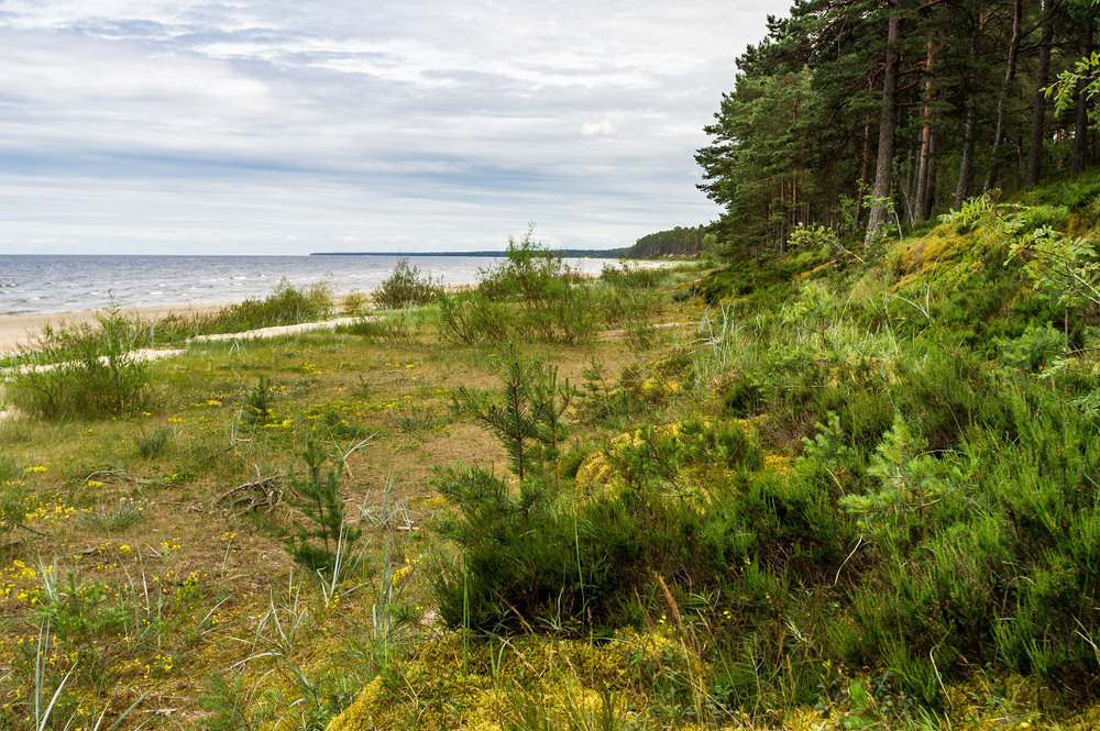 Фотографія Пейзаж / Марина Явтушенко Губська / photographers.ua