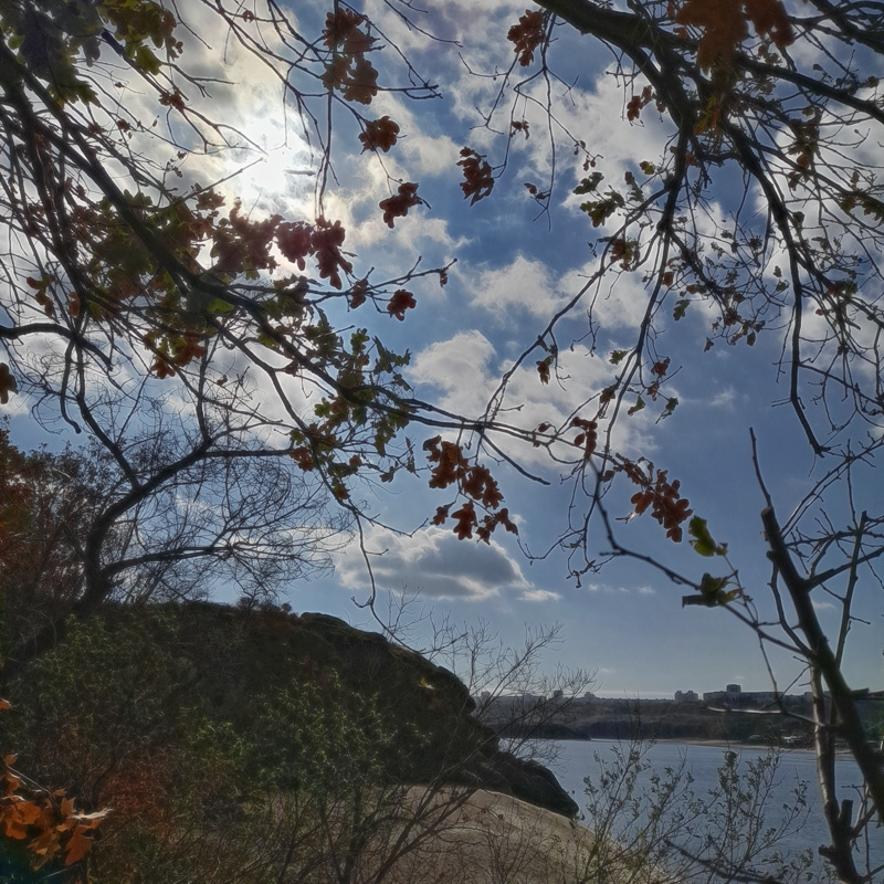 Фотографія Жовтнева. / Андрій / photographers.ua