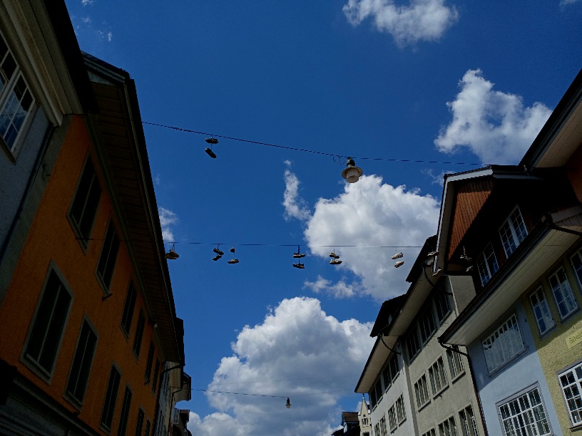 Фотографія Травнева. / Андрій / photographers.ua