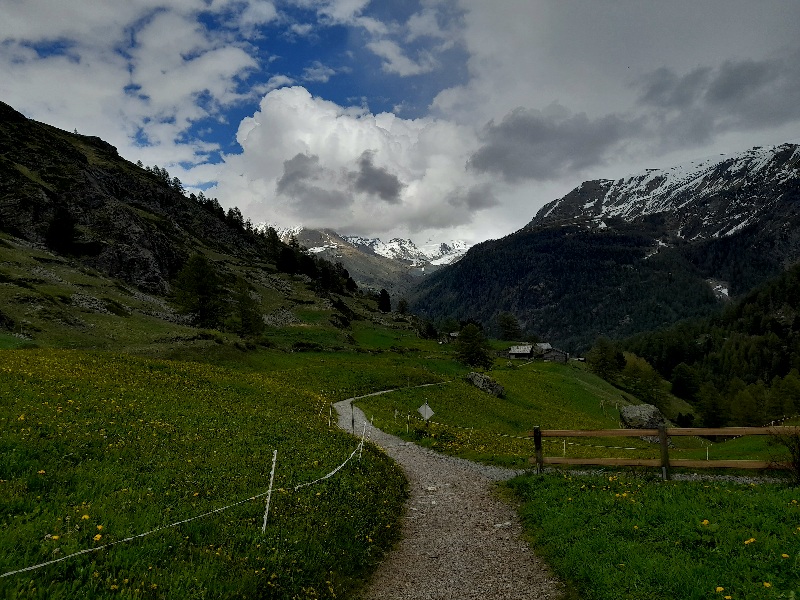 Фотографія Травнева. / Андрій / photographers.ua