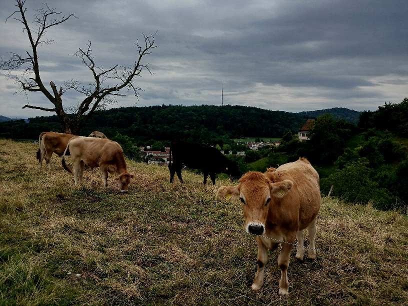 Фотографія З хмарами. / Андрій / photographers.ua