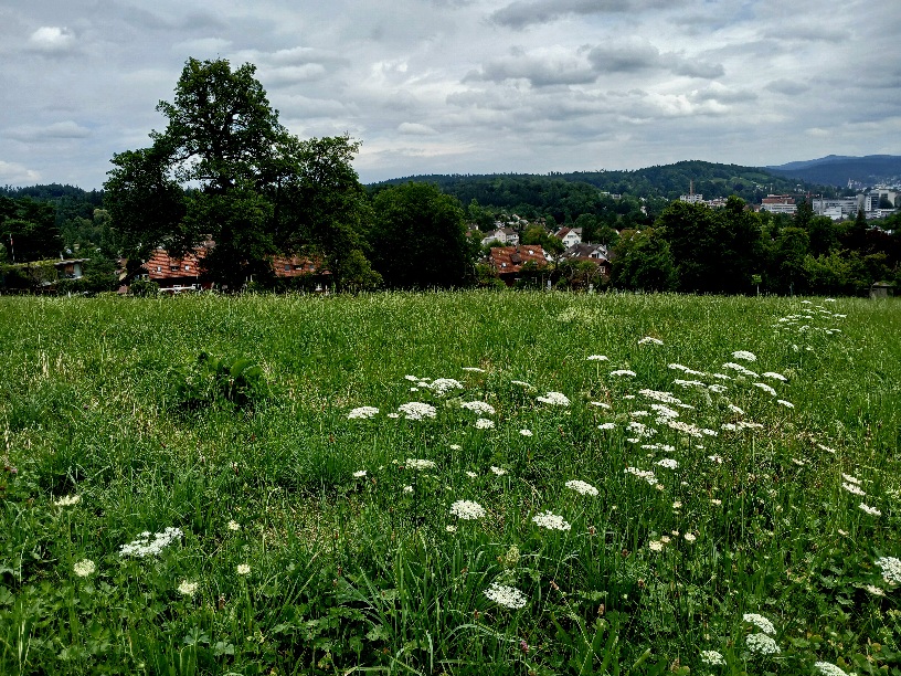Фотографія Липнева. / Андрій / photographers.ua