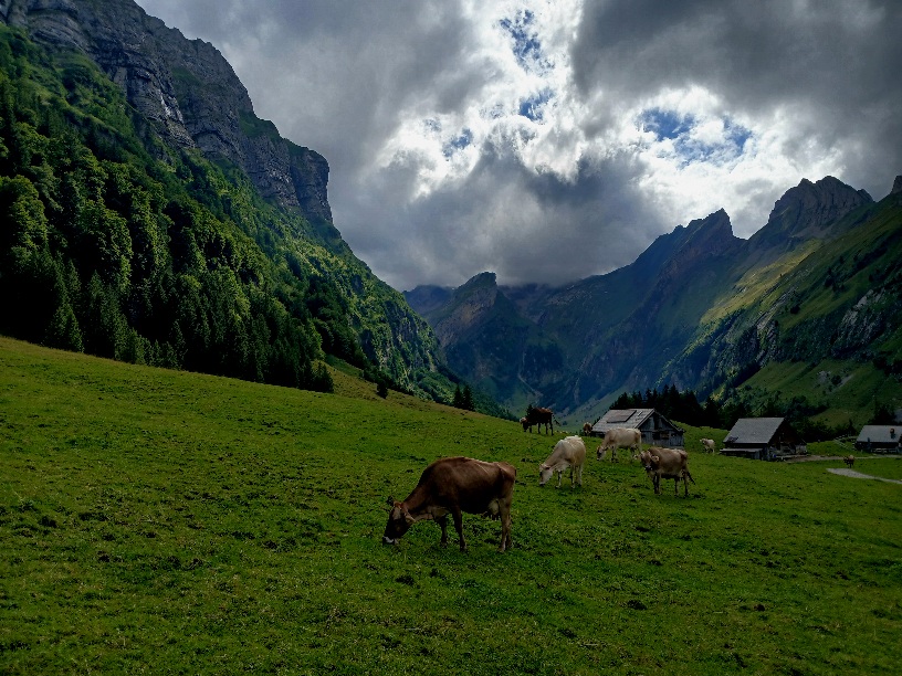 Фотографія Липнева. / Андрій / photographers.ua
