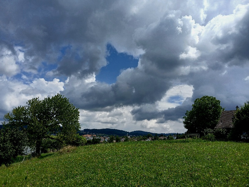 Фотографія Про літо. / Андрій / photographers.ua