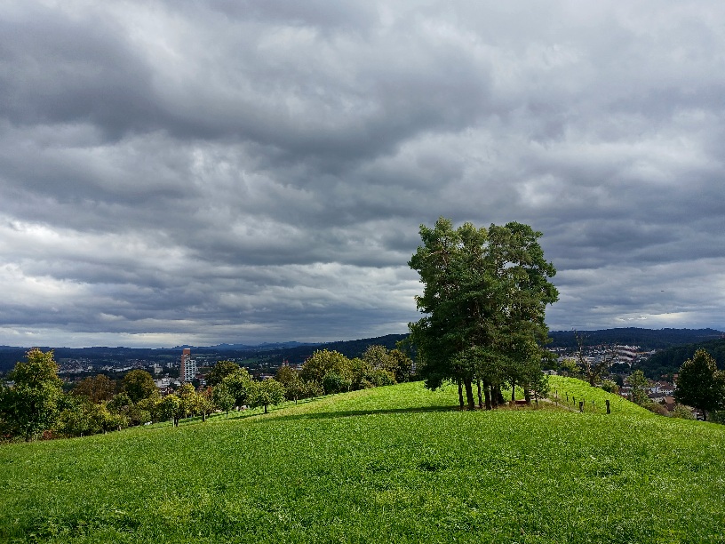 Фотографія Сонячна. / Андрій / photographers.ua