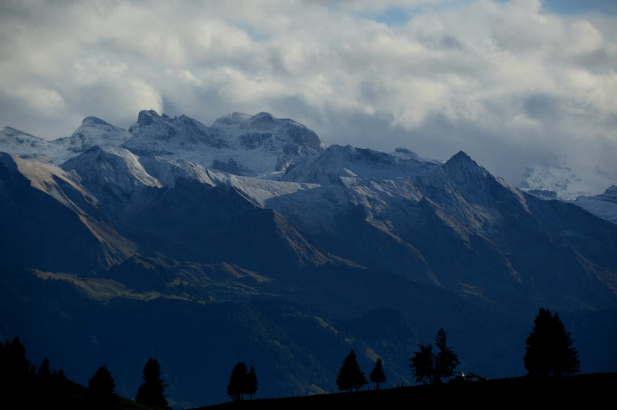 Фотографія Після дощу. / Андрій / photographers.ua