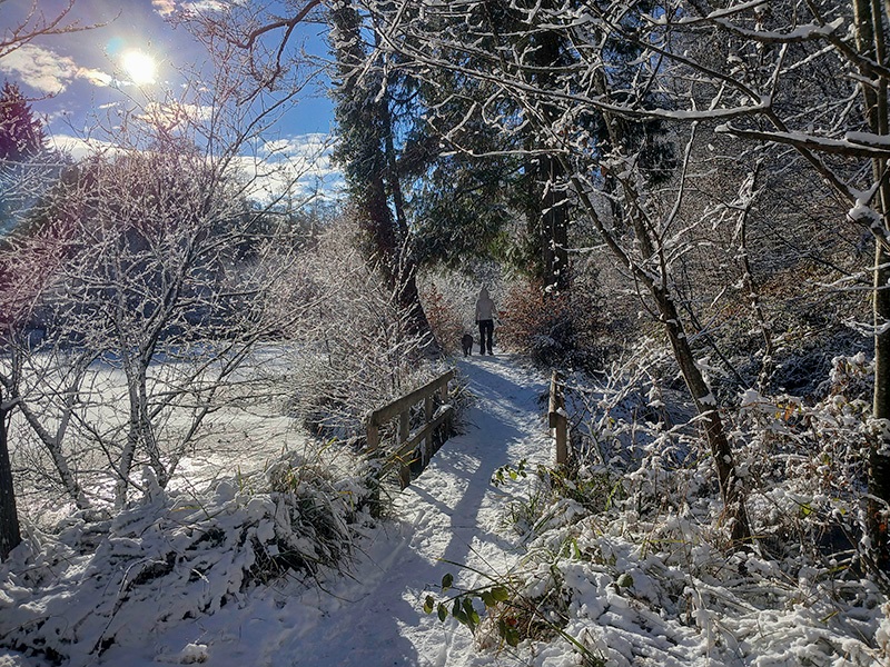Фотографія Зимова. / Андрій / photographers.ua