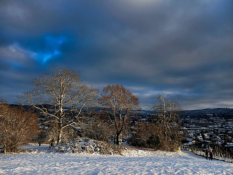 Фотографія Сонячна. / Андрій / photographers.ua