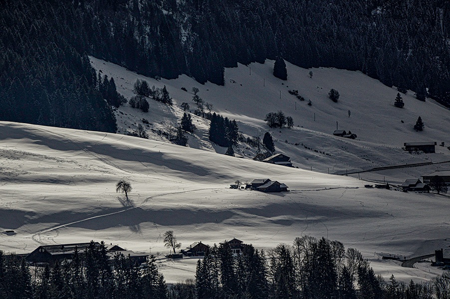 Фотографія Зимова.. / Андрій / photographers.ua