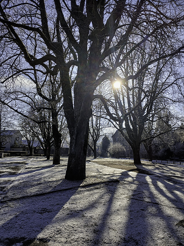 Фотографія Сонячна. / Андрій / photographers.ua