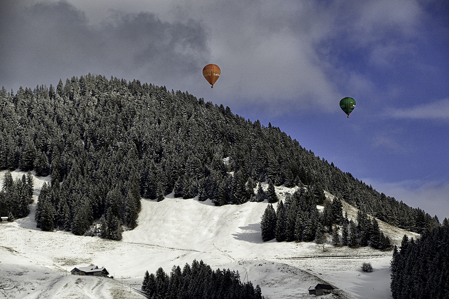Фотографія Сонячна. / Андрій / photographers.ua