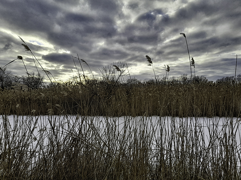 Фотографія Вечірня. / Андрій / photographers.ua